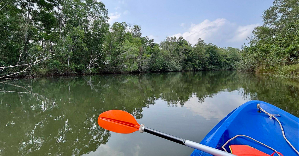 chèo kayak trên sông Cửa Cạn
